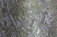 Brewers End fibreglass roof work